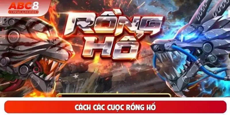 Cách Cá Cược Rồng Hổ